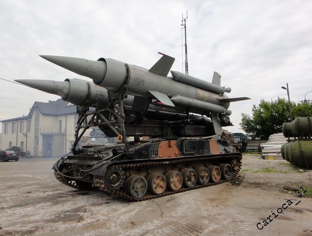 DSC02295 - Kopia.JPG