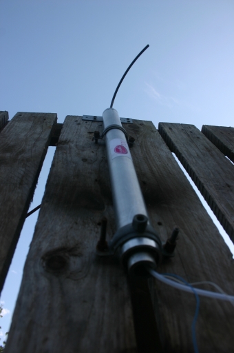 Hybryda 38 PL_sr320.jpg