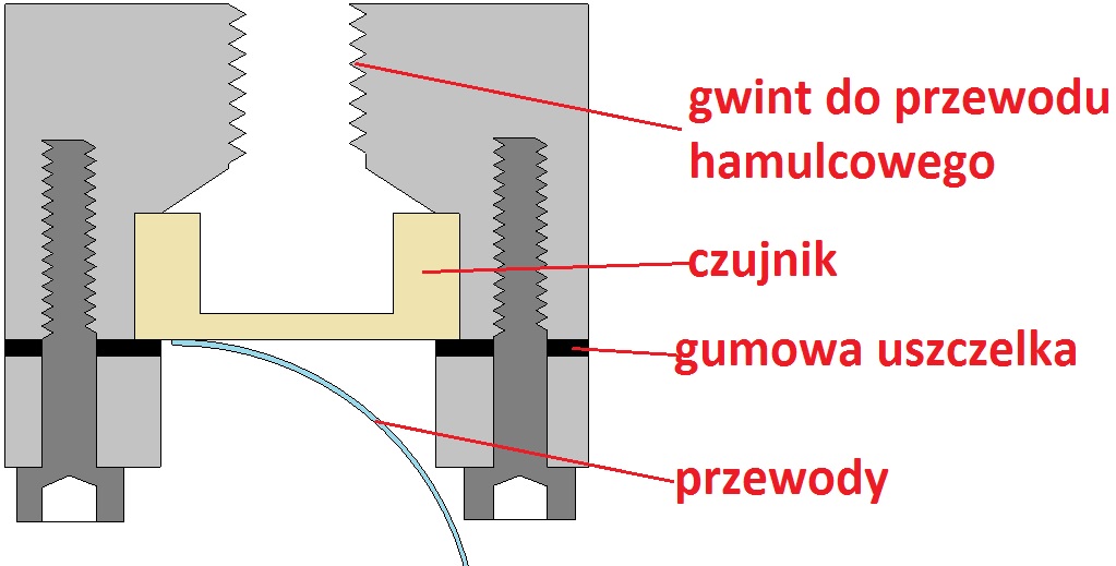 szkic.jpg
