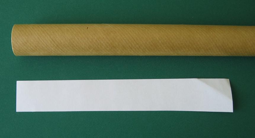 IMG_5417.jpg
